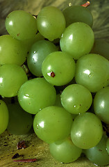 Image showing Bunch of green grapes laying