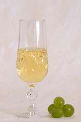 Image showing A glass of white wine