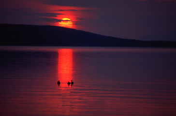 Image showing Mountain lake sunset