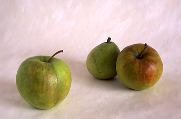 Image showing Apples and pear on painted background