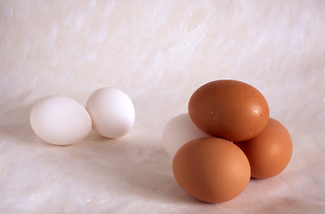 Image showing Eggs  on painted background