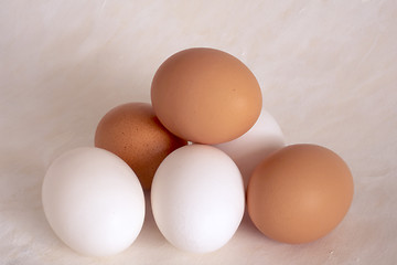 Image showing Eggs  on painted background