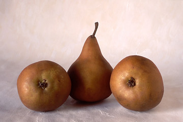 Image showing Three pears on painted background