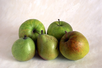 Image showing Green apples and pears on painted background