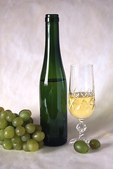 Image showing A glass of white wine