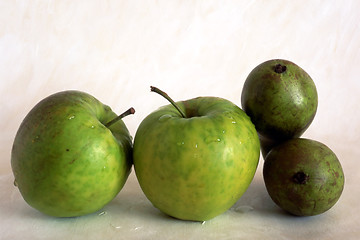 Image showing Green apples and pears on painted background