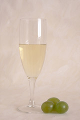 Image showing A glass of white wine