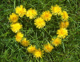 Image showing floral heart