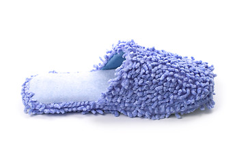 Image showing blue slipper