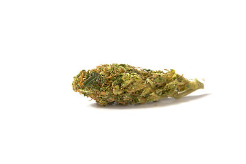 Image showing medical marijuana bud