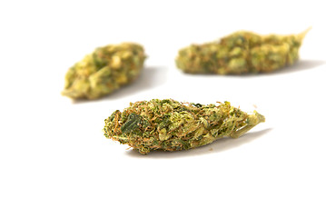 Image showing medical marijuana buds