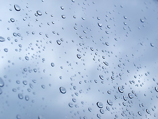 Image showing Rain droplets