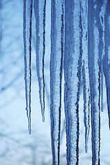 Image showing Icicles