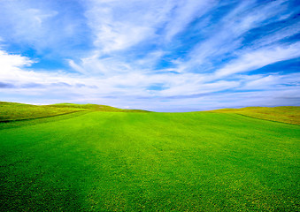 Image showing Golf course  on summer