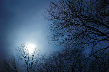 Image showing Cloudy Winter Sky