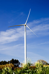 Image showing Wind Turbine