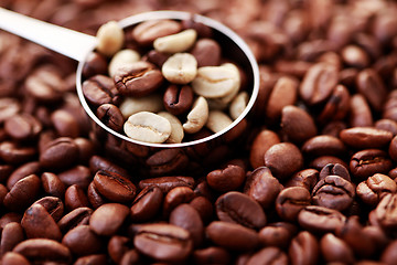 Image showing spoon of coffee beans