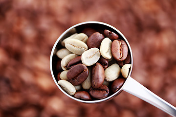 Image showing spoon of coffee beans