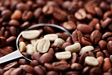 Image showing spoon of coffee beans