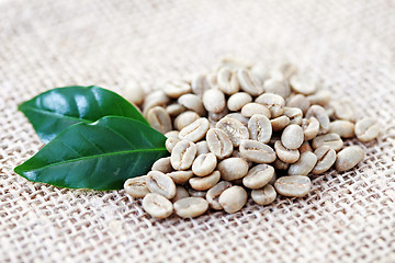 Image showing unroasted coffee beans