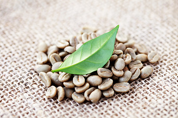 Image showing unroasted coffee beans