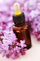 Image showing lilac aromatherapy