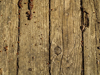 Image showing old wood background