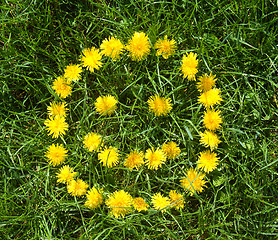 Image showing floral smile