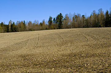 Image showing Field