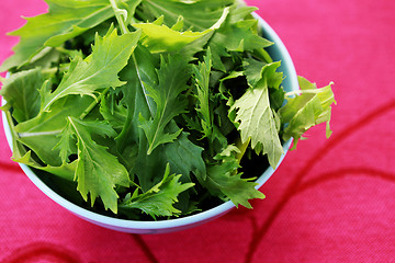 Image showing mizuna leaves