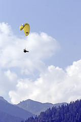 Image showing Paraglider