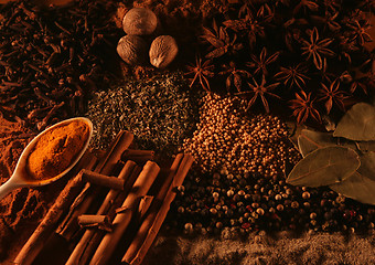 Image showing Spices