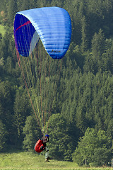 Image showing Paraglider