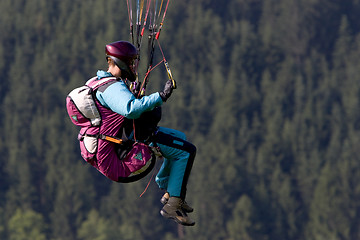 Image showing Paraglider