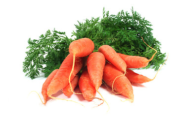 Image showing a bunch of carrots