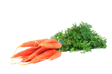 Image showing a bunch of carrots