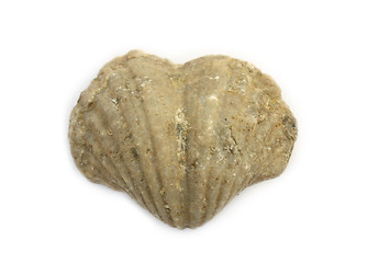 Image showing Ancient heart