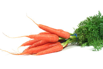 Image showing a bunch of carrots