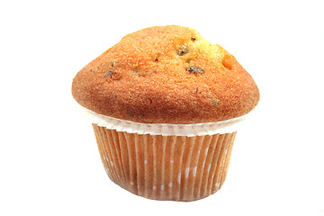 Image showing Muffin with chocolate chips