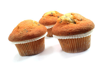 Image showing Muffins with chocolate chips