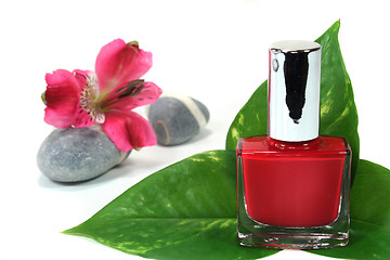 Image showing Nail polish