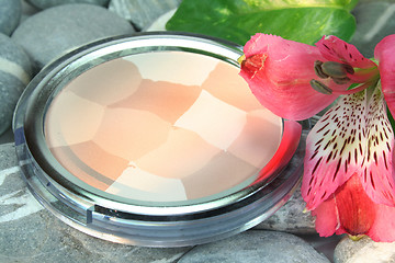 Image showing Make-up powder