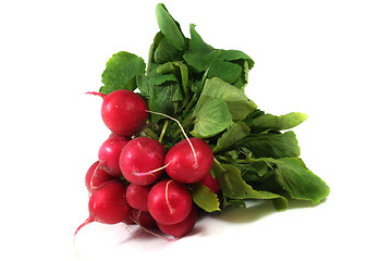 Image showing a bunch of radishes