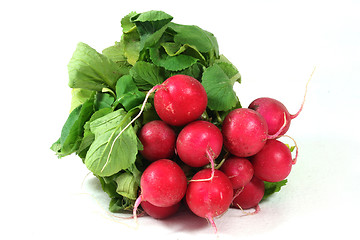 Image showing Radishes