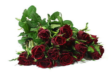 Image showing Bouquet of red roses