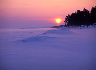 Image showing winter sunset