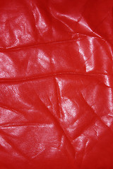 Image showing Wrinkled old red leather