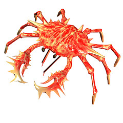 Image showing crab