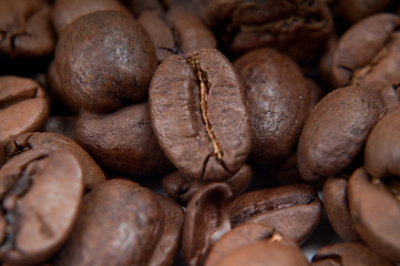 Image showing Caffee beans