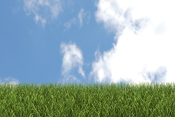 Image showing Grass and Sky